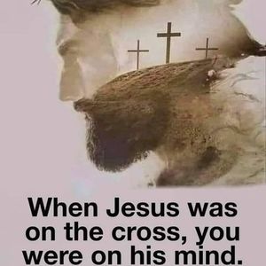 Meet your Posher, Audrey